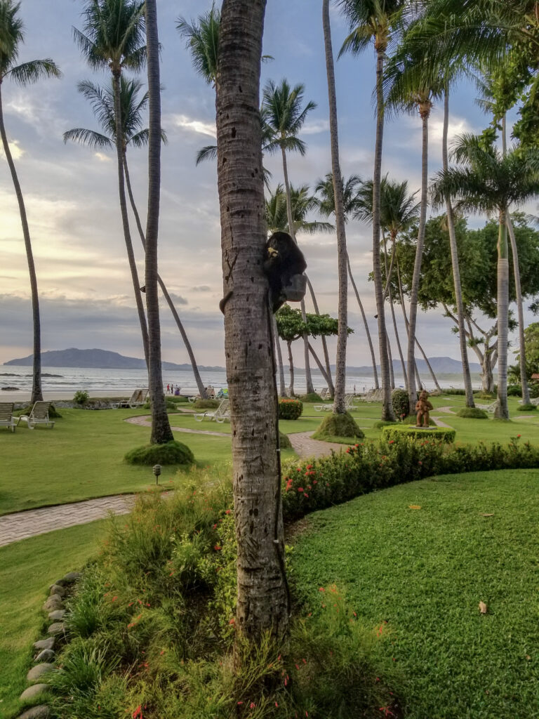 tamarindo beach, playa tamarindo